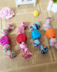 Rope and Rubber Ball Dog Toy