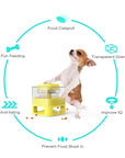 Training Feeder For Dogs