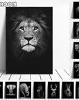 Animal Canvas Painting Wall Art