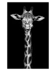 Animal Canvas Painting Wall Art