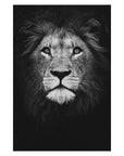 Animal Canvas Painting Wall Art