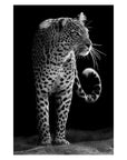 Animal Canvas Painting Wall Art