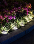 Solar Powered Garden Disk Light