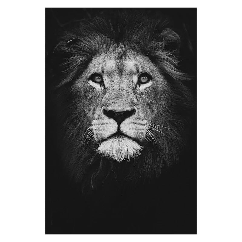 Animal Canvas Painting Wall Art