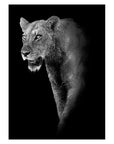 Animal Canvas Painting Wall Art