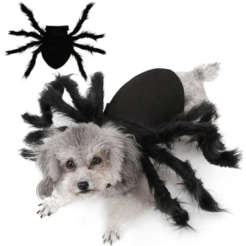 Halloween Spider Costume for Pets