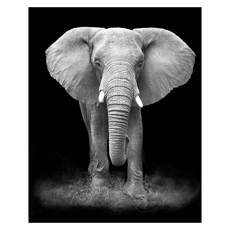 Animal Canvas Painting Wall Art